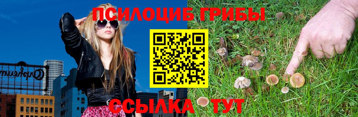 Галлюциногенные грибы GOLDEN TEACHER Прокопьевск