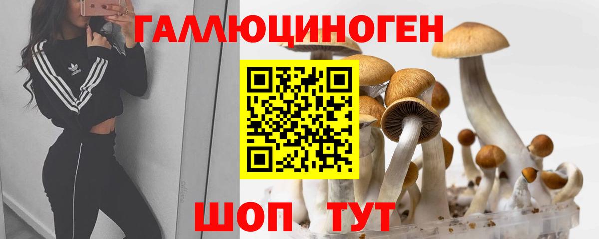 Псилоцибиновые грибы мухоморы  Вход с VPN  Прокопьевск  Галлюциногенные грибы мицелий 